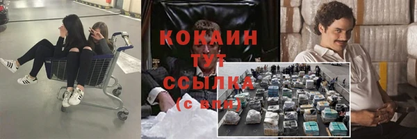 твердый Алзамай